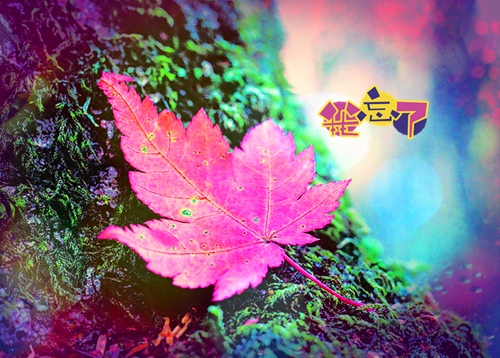 紧张害怕的心情的说说 心里七上八下的说说24句