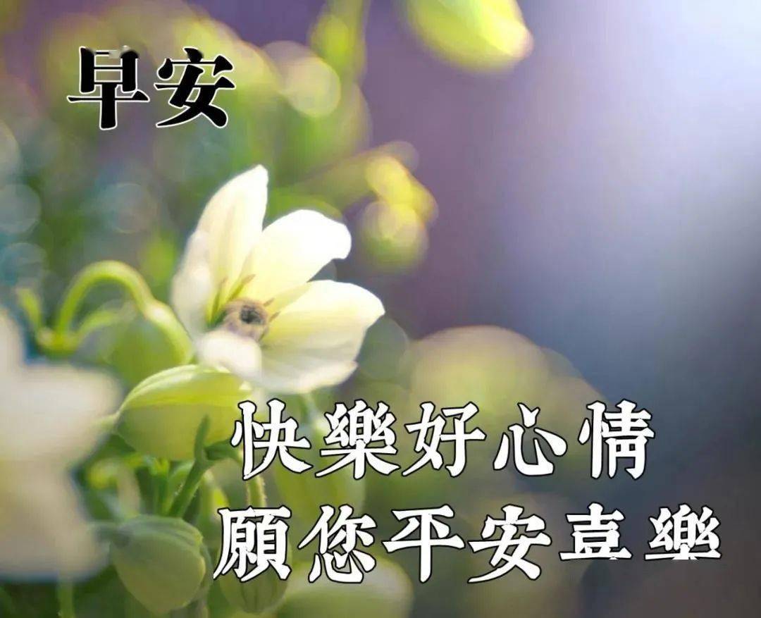 早安暖心语录