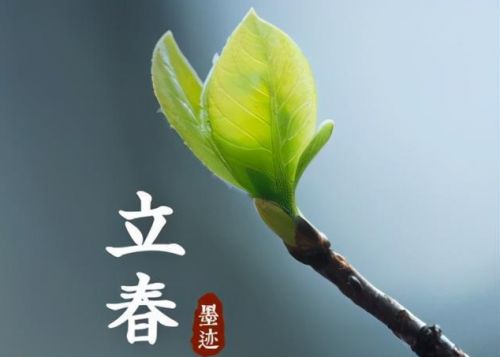 立春句子说说27句