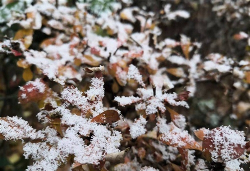 适合晚上下雪发的朋友圈说说38句