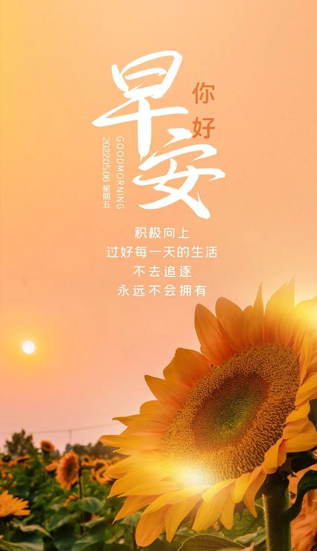 第四类情感文案图片励志(情感共鸣的图片和文案)