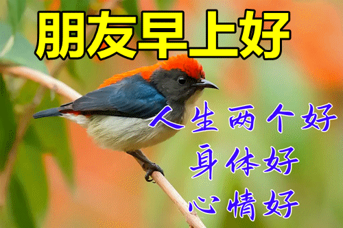 第四类情感文案图片励志(情感共鸣的图片和文案)