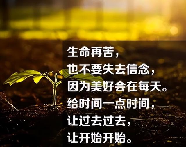 第四类情感文案图片励志(情感共鸣的图片和文案)