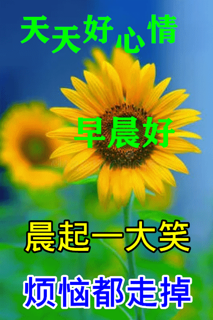 第四类情感文案图片励志(情感共鸣的图片和文案)