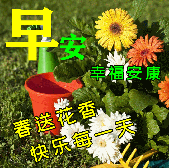 第四类情感文案图片励志(情感共鸣的图片和文案)