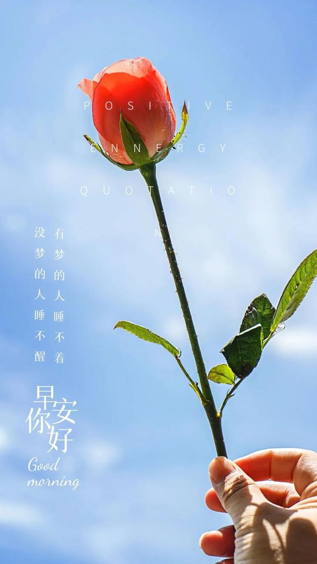 第四类情感文案图片励志(情感共鸣的图片和文案)