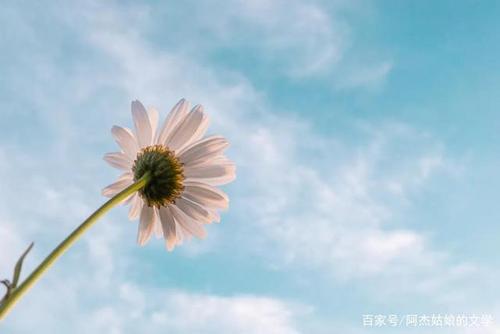 五月再见六月你好的心情说说22句