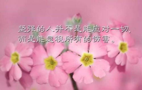 成熟低调有内涵的签名 适合不发朋友圈的签名