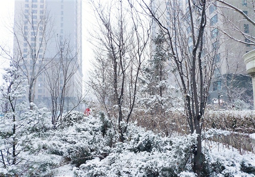 表达下雪的经典的说说 适合在下雪天发的说说26句