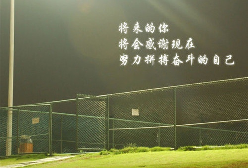 做一件事贵在坚持的说说31句