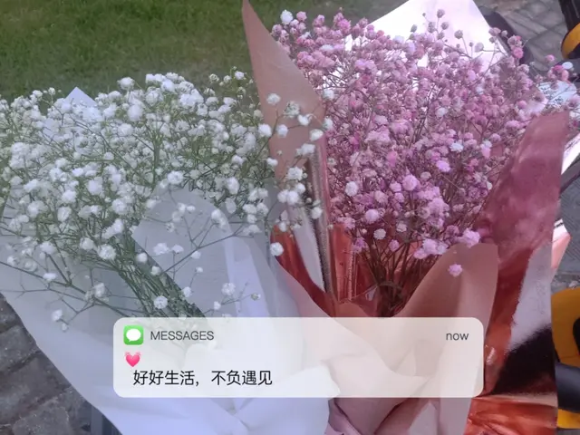 网恋表白文案长篇真实情感(网恋的文案)