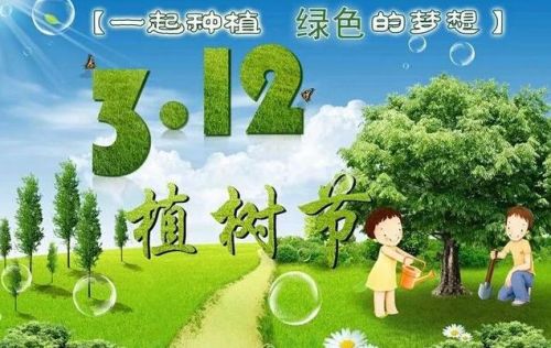 今天植树节的说说40句