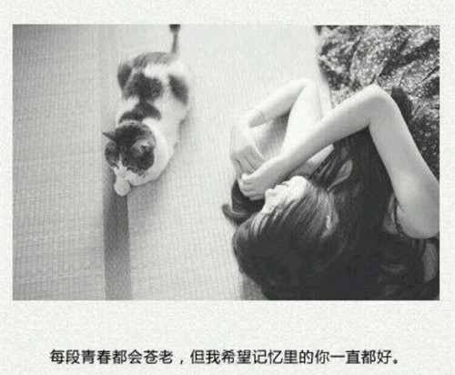 疼在你身痛在我心的说说21句