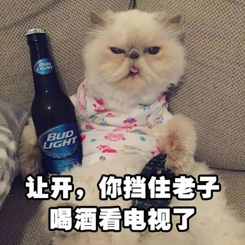 喝大了的幽默说说