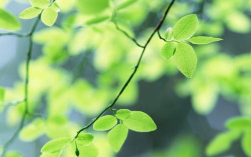 感受夏天的气息的说说