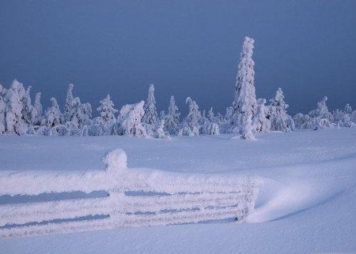 雪天文艺文案句子大全 关于雪的唯美文案
