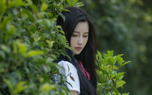 午安心语简短的心灵鸡汤