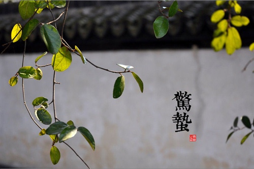 适合惊蛰节气发的朋友圈说说38句