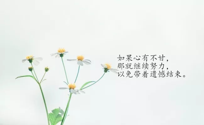 有个性的激励人的座右铭