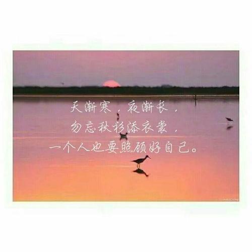 一个人照顾好自己句子