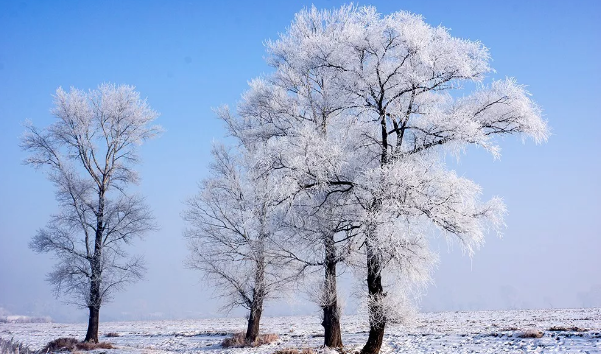 下雪说说心情短语第一场下雪的说说