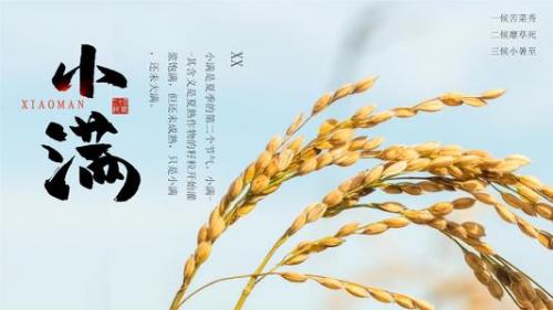 小满节气说说朋友圈句子17句