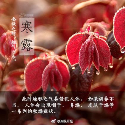 励志的句子致自己简短 正能量句子励志短句子