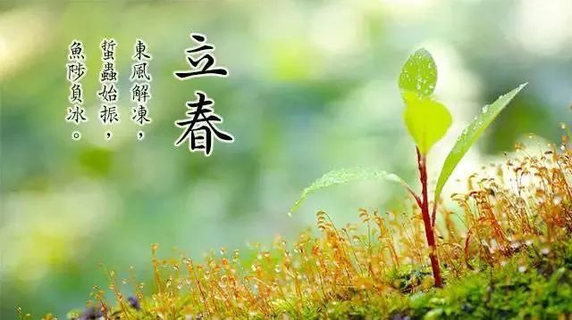 立春的祝福语