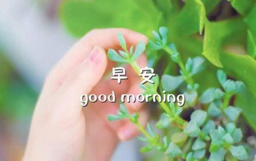 春节寄语祝福句子 春节问候语和祝福语