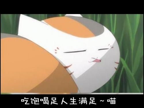 吃饱喝足心情好的句子 吃饱喝足睡觉的说说20句