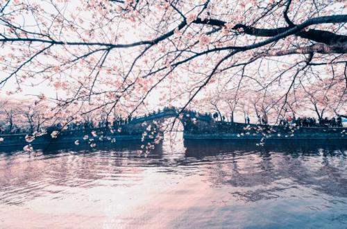 5月发的朋友圈文案说说 5月份发的朋友圈说说文案大全