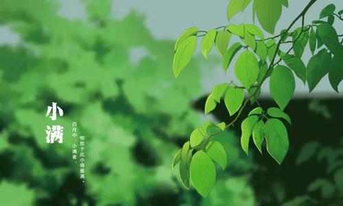 小满祝福语简短