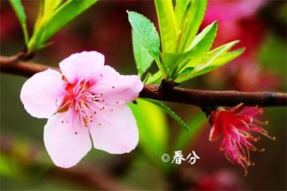 十八岁生日祝福语 18岁生日励志文案