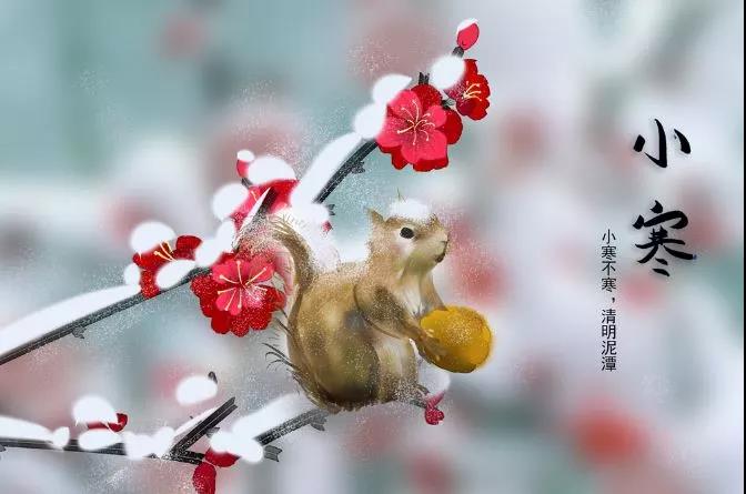 小寒的说说和图片