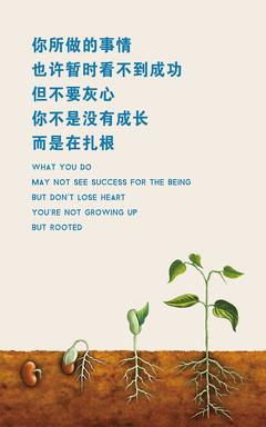 优美句子摘抄大全35字