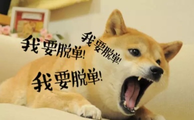 单身狗说说经典语句