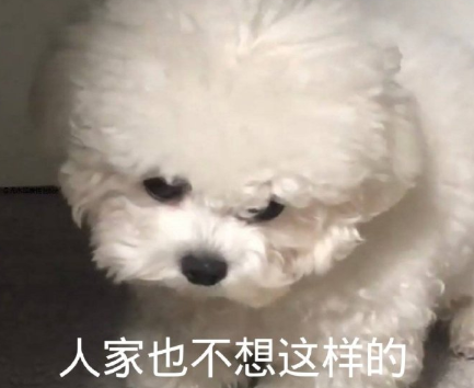 幽默搞笑爱情官宣表白说说