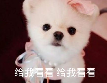 幽默搞笑爱情官宣表白说说