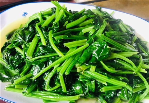 今天开始吃青菜的说说 吃青菜怎么发朋友圈