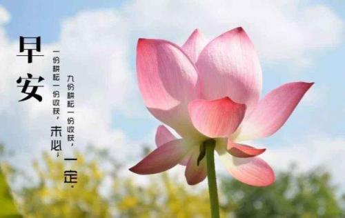 早上发朋友圈的精美句子24句