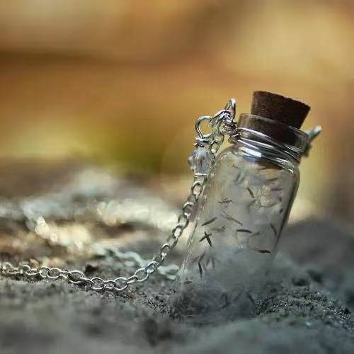 晚上土味情话大全