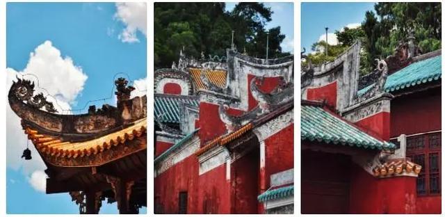 红柿子情感文案(西红柿文案句子)