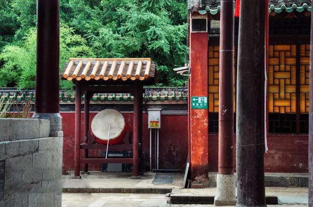 红柿子情感文案(西红柿文案句子)