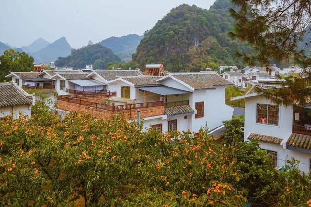 红柿子情感文案(西红柿文案句子)