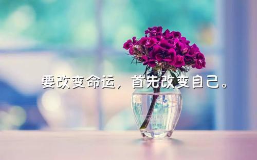 女人高情商的正能量句子