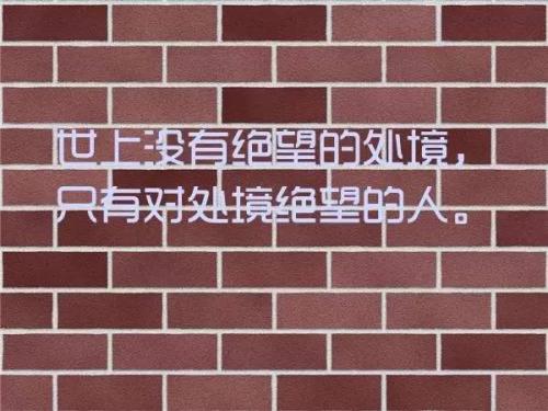 女人高情商的正能量句子