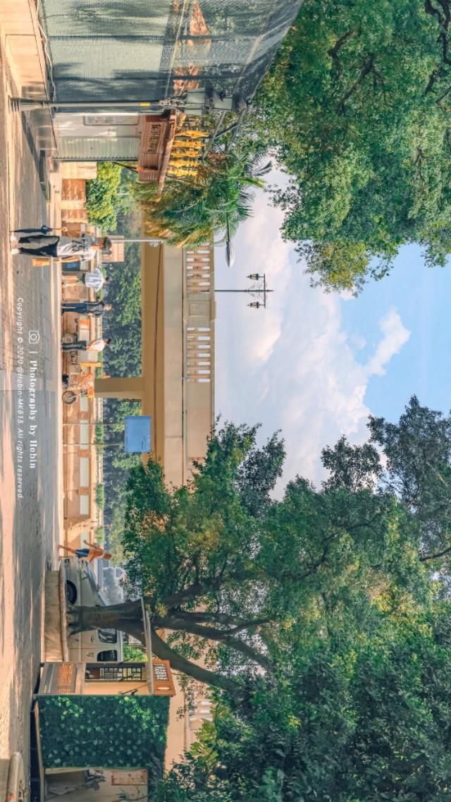 城市情感文案街景(街景配图文案)