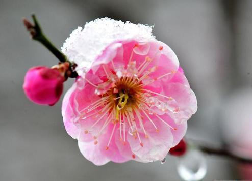歌颂雪的说说句子大全 2020雪景的朋友圈说说24句
