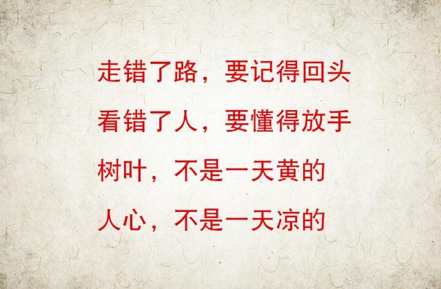 情感文案也许一生走错了不少路看错了不少人(走过路过不要错过文案)