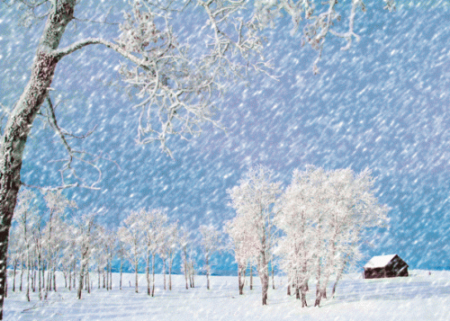 适合下雪天发的文字大全 发朋友圈下雪高端句子30句